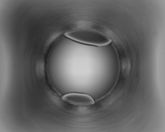 X0000114540684200910191342