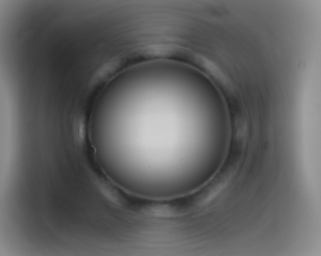 X0000114540685200910191342