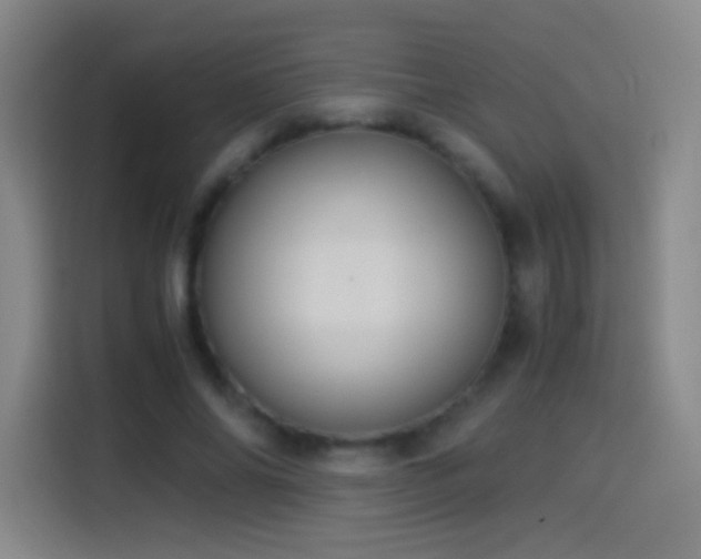 X0000114540686200910191342