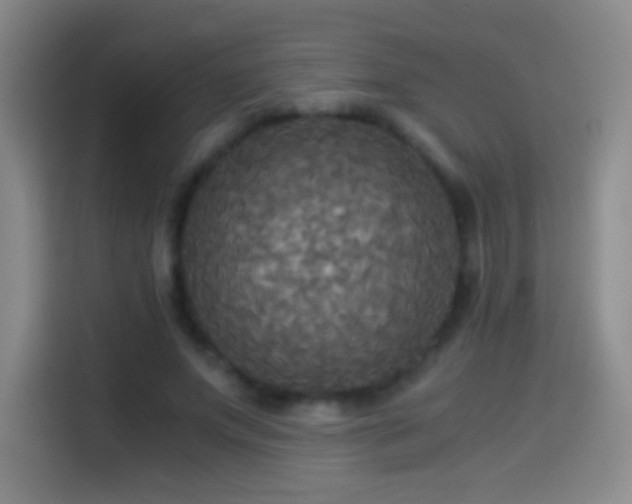 X0000114540687200910191342