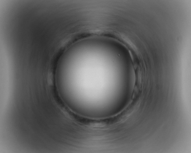 X0000114540689200910191342