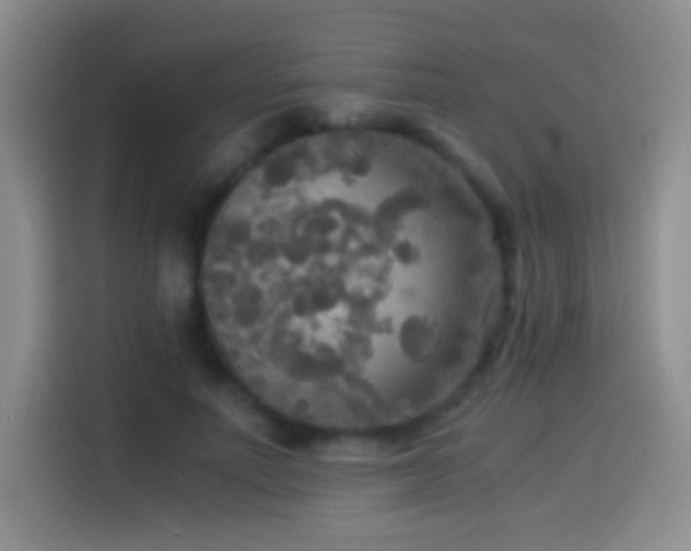 X0000114540691200910191342