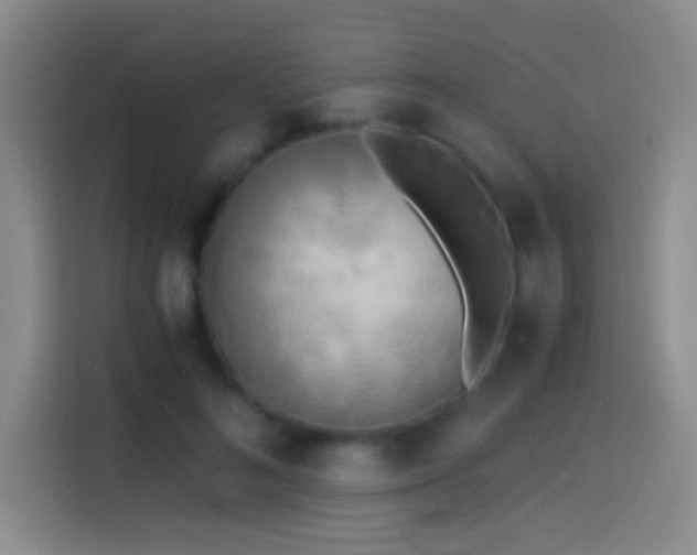 X0000114540692200910191342