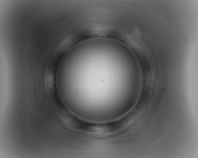 X0000114540693200910191342