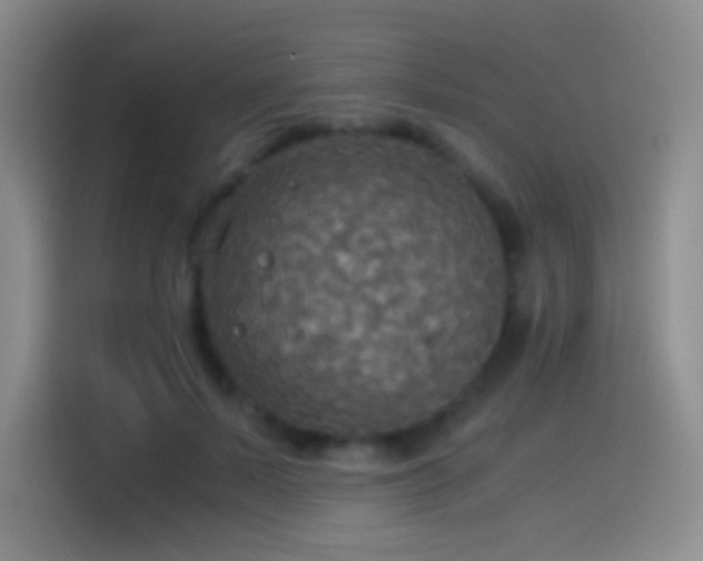 X0000114540695200910191342