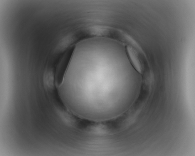 X0000114540696200910191342