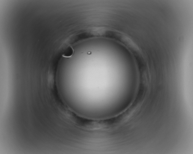 X0000114540697200910191342