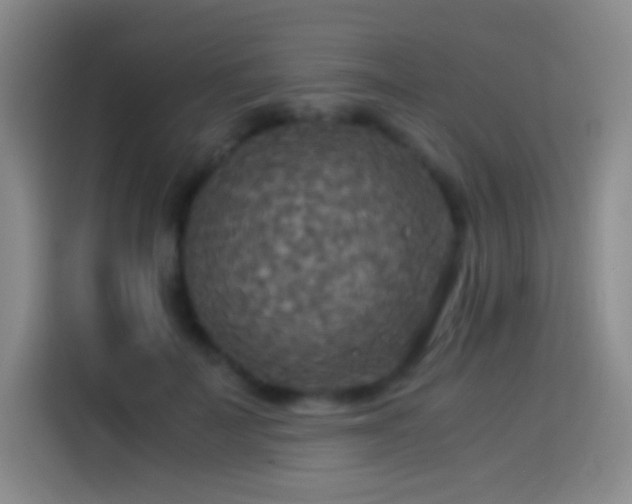 X0000114540699200910191342