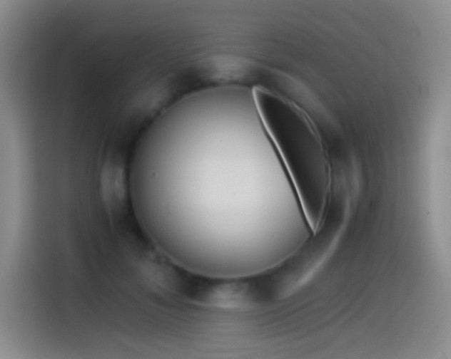 X0000114540700200910191342