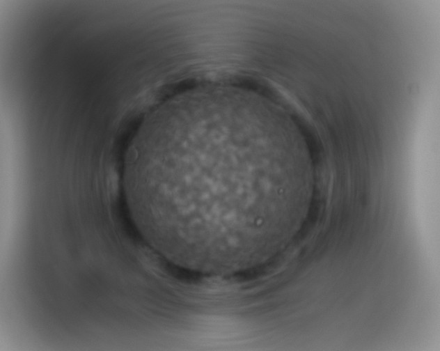 X0000114540703200910191342