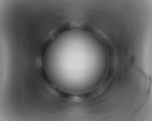 X0000114540706200910191342