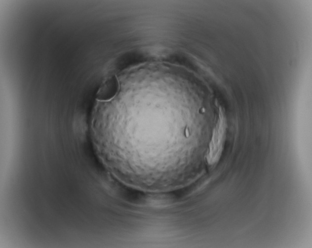 X0000114540707200910191342