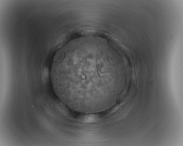 X0000114540711200910191342