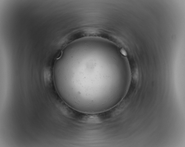 X0000114540715200910191342