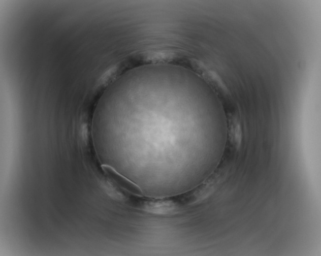 X0000114540716200910191342