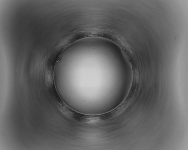 X0000114540719200910191342