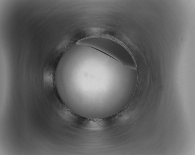 X0000114540720200910191342