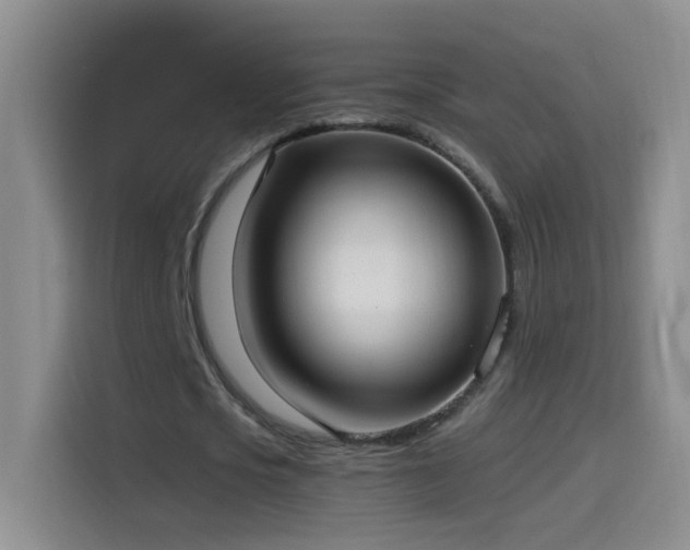 X0000114540721200910191341