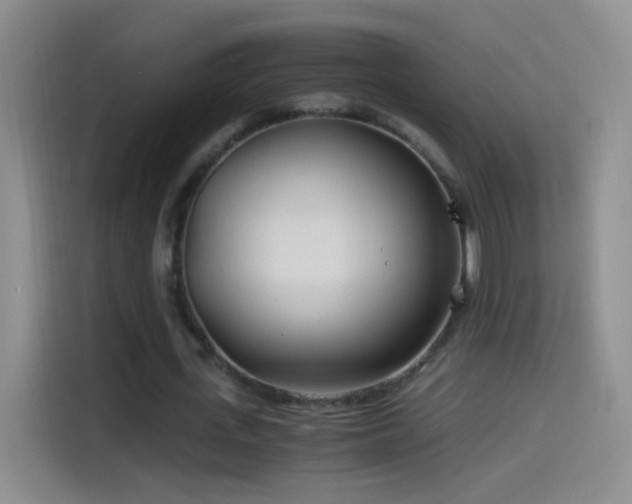 X0000114540723200910191341