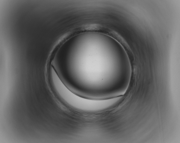 X0000114540725200910191341