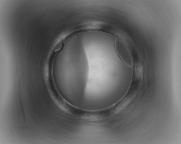 X0000114540726200910191341