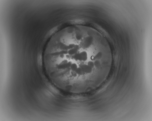 X0000114540729200910191341