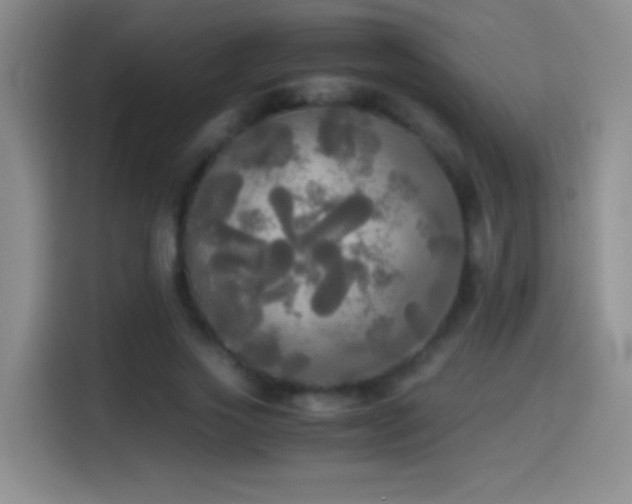 X0000114540733200910191341