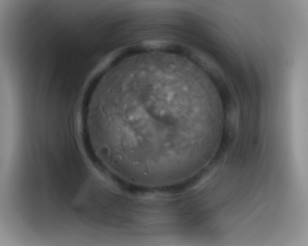 X0000114540734200910191341