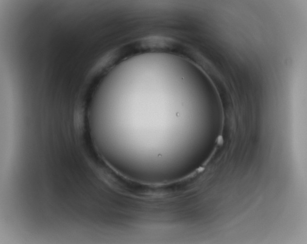 X0000114540735200910191341