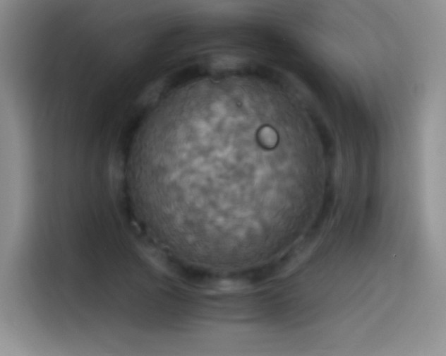 X0000114540737200910191341