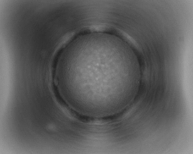 X0000114540738200910191341