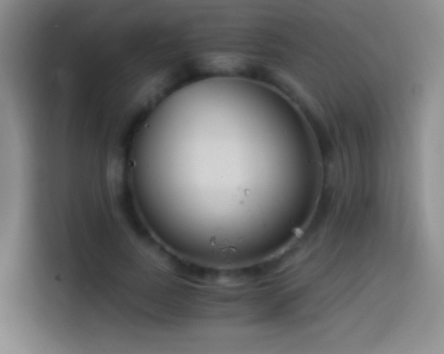 X0000114540739200910191341