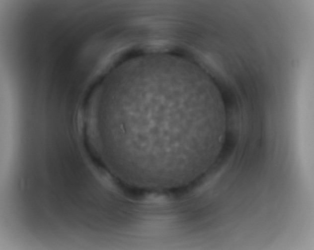 X0000114540742200910191341