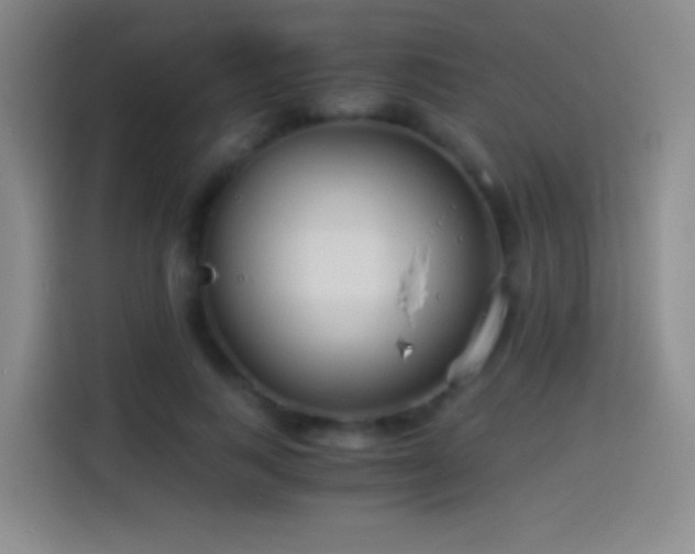 X0000114540743200910191341