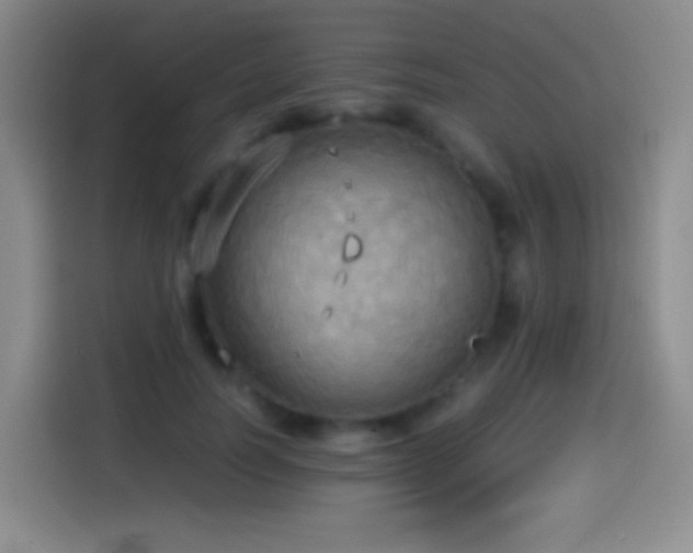 X0000114540746200910191341