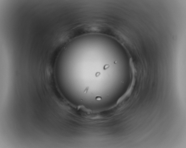 X0000114540747200910191341