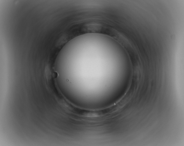 X0000114540751200910191341