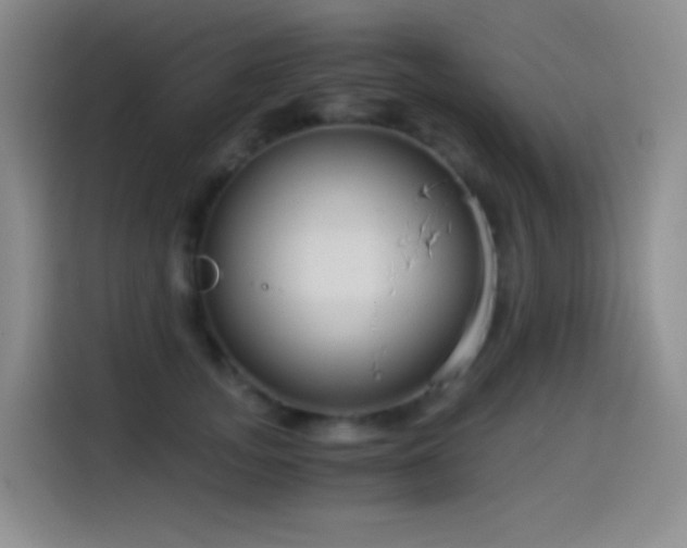 X0000114540755200910191341