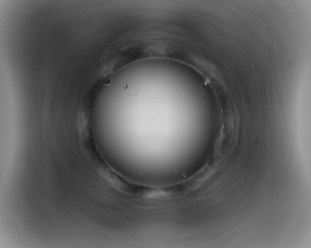 X0000114540759200910191341