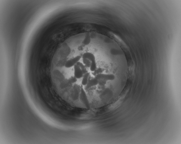 X0000114540765200910191342