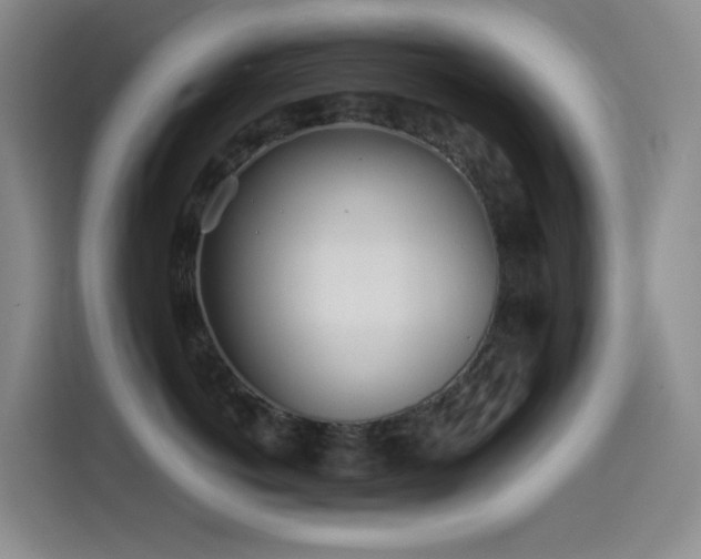 X0000114540766200910191342