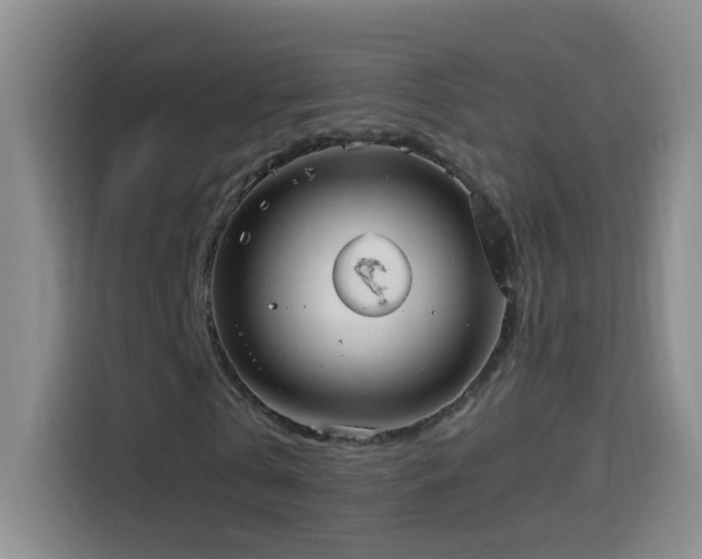 X0000114540769200910191341