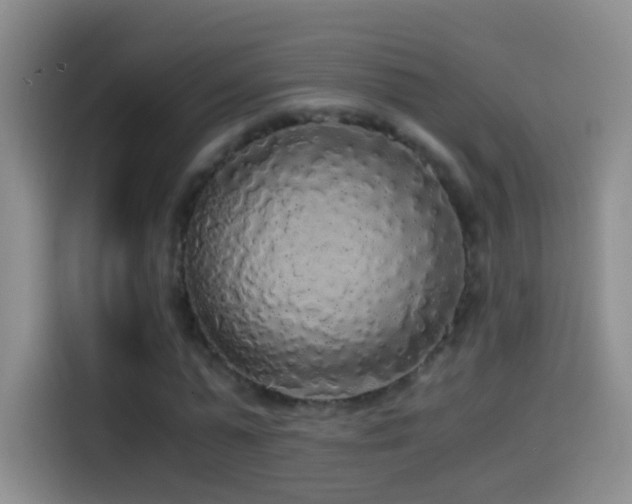 X0000114540775200910191341