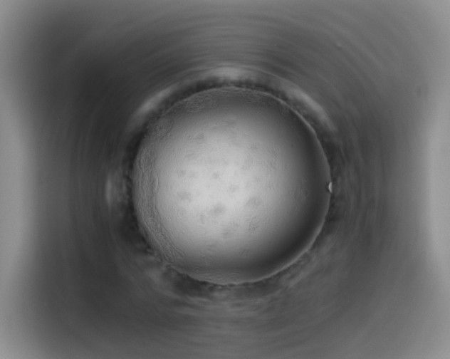 X0000114540776200910191341