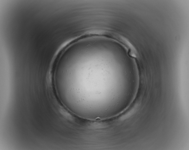 X0000114540779200910191341