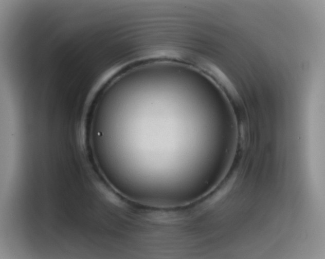 X0000114540780200910191341