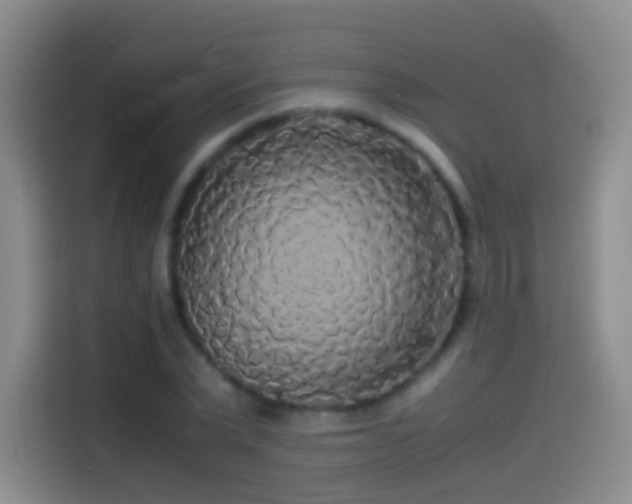 X0000114540783200910191341