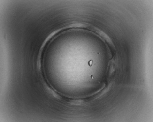 X0000114540784200910191341