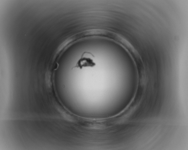 X0000114540786200910191341