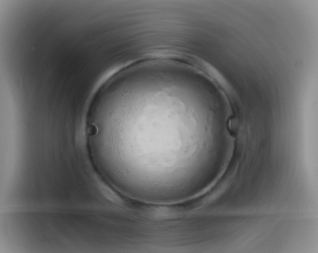 X0000114540787200910191341